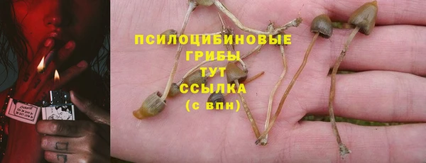 трава Абинск