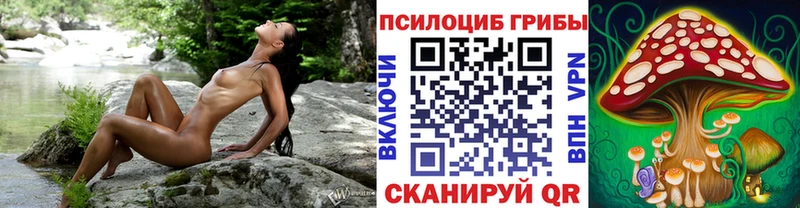 Псилоцибиновые грибы GOLDEN TEACHER Лосино-Петровский