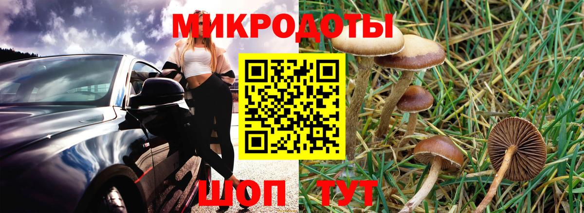 Псилоцибиновые грибы MAGIC MUSHROOMS  Вход с VPN  Лосино-Петровский  Псилоцибиновые грибы MAGIC MUSHROOMS 